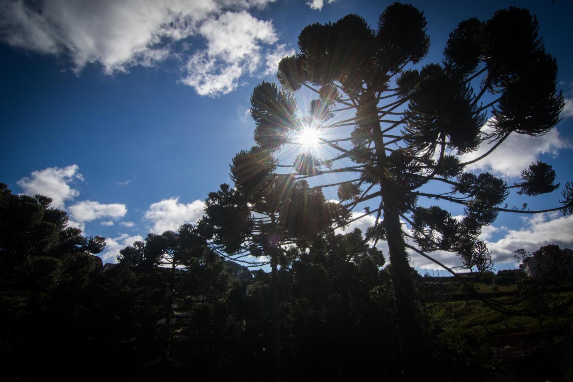 Hotel Vill' Agi, Campos do Jordao